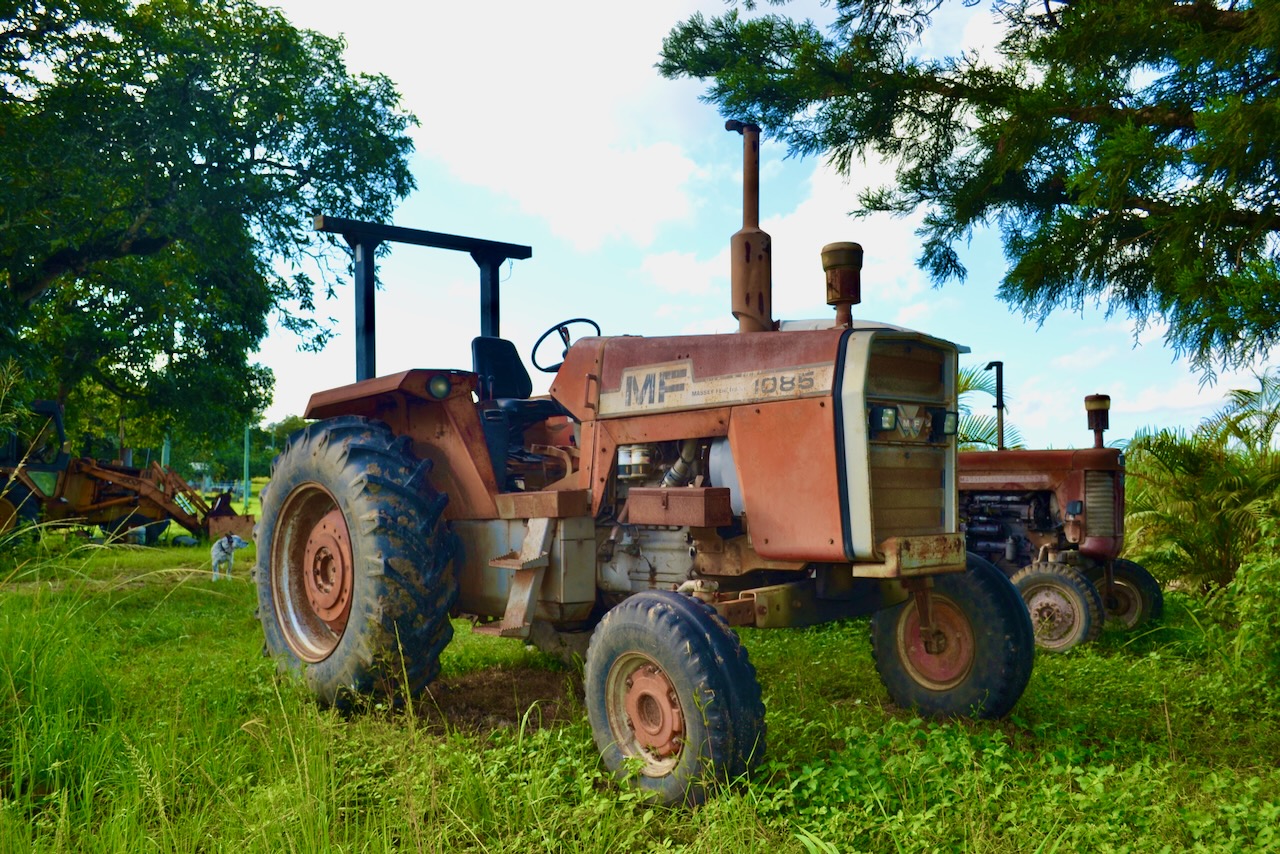 small Massey tractor in queensland paddock